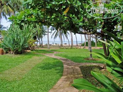 Новые добавленные фото туристов Sanmali Beach 2*