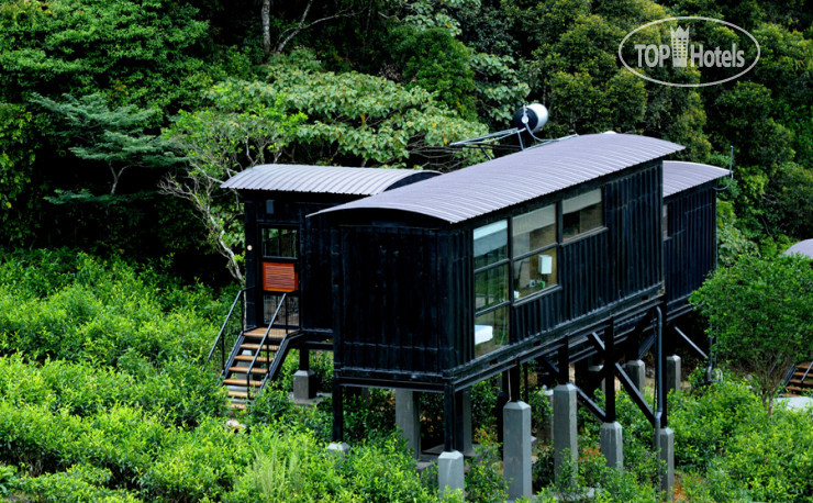 Фото Rainforest Ecolodge
