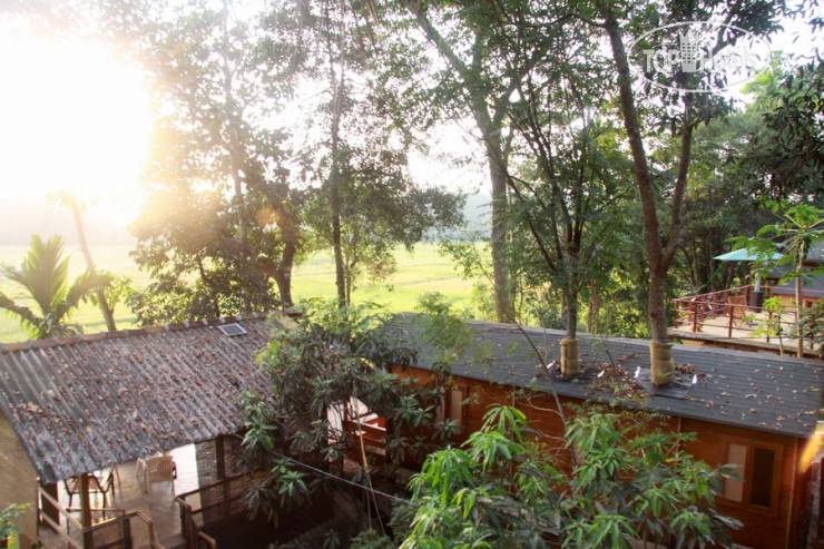 New photos from tourists Zeppelin Eco Cabins 1*