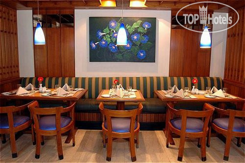 New photos from tourists Holiday Inn 3*