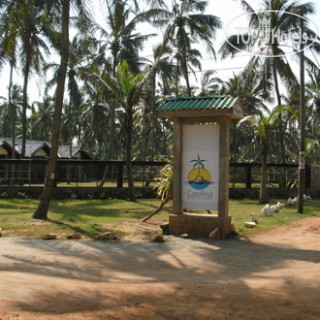 Фото Carolina Beach