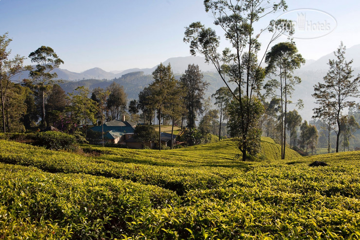 Фото Ceylon Tea Trails