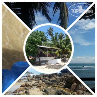 Фото Coconut Palm Beach Hotel