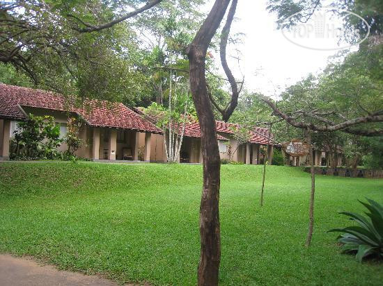 New photos from tourists Sigirya 3*
