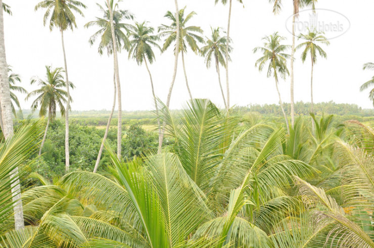New photos from tourists Warahena Beach Hotel 5*