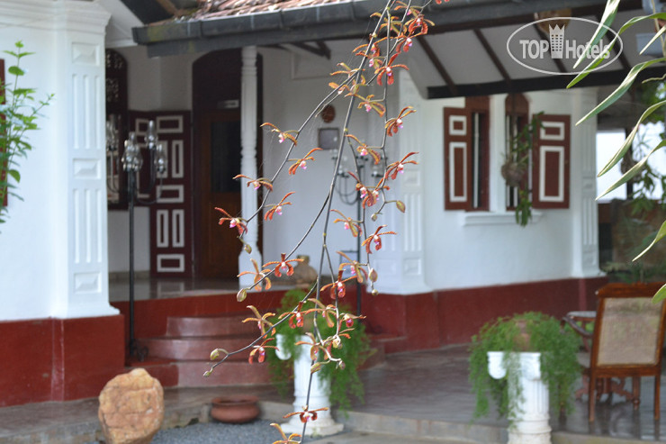 Hotel photo Hiru Villas 