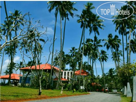 Hotel photo Saffron Beach 2*
