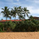 Фото Aditya Resort