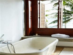 New photos from tourists Frangipani Tree 5*