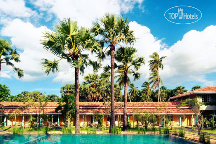 New photos from tourists Palmera Eco Resort
