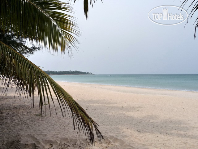 New photos from tourists Sea Lotus Park 3*