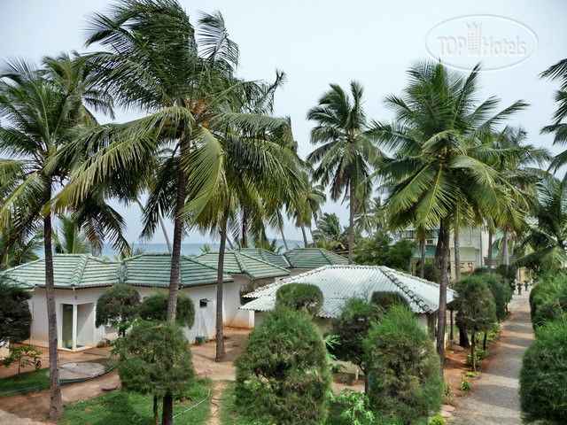Фото Sea Lotus Park