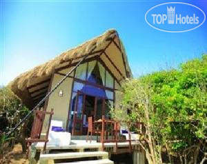 Фото Uga Jungle Beach - Trincomalee (ex.Jungle Beach Resort)