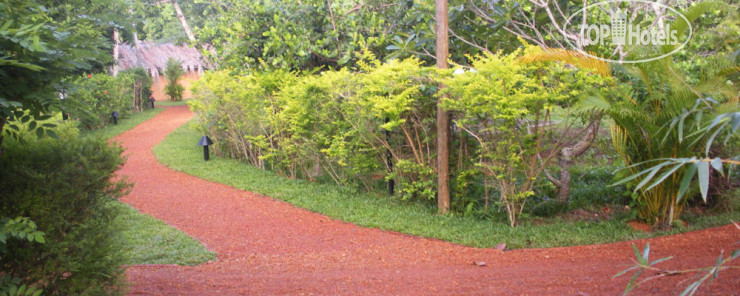 New photos from tourists Dalmanuta Gardens - Ayurvedic Resort & Restaurant 4*