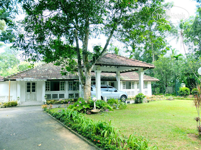 Фото Plantation Villa
