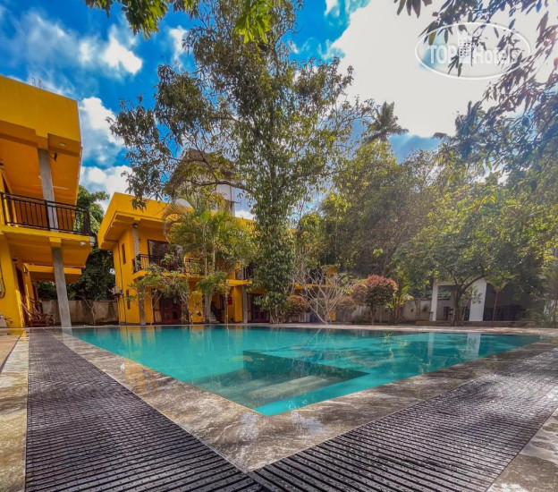 New photos from tourists Easy Living 3*