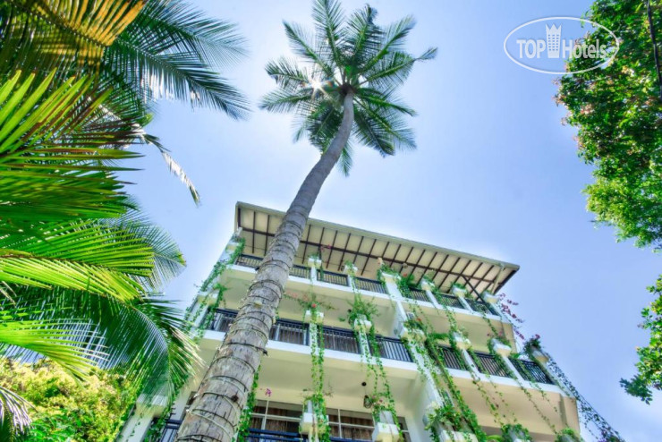 Новые добавленные фото туристов L&D Stay Inn 