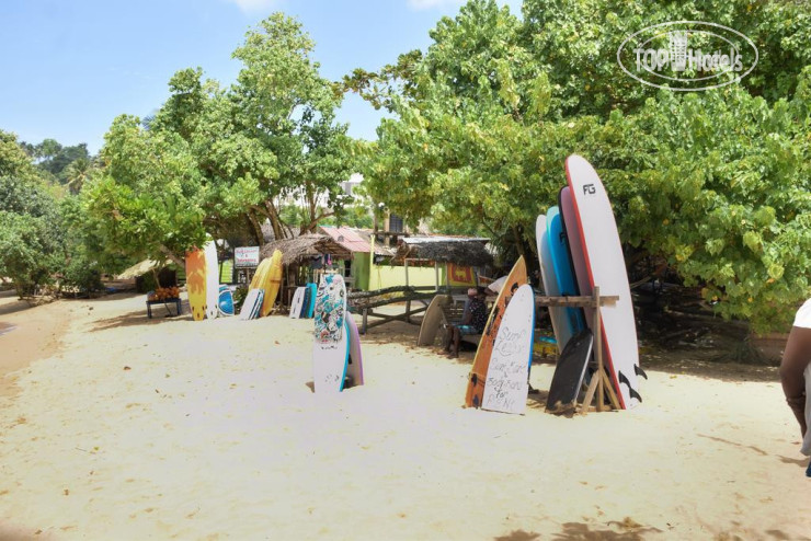 New photos from tourists Mira Whales Resort
