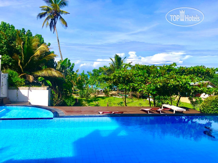 New photos from tourists BeachMirissa Hotel