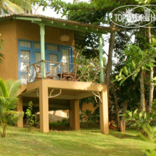 Фото Palace Mirissa