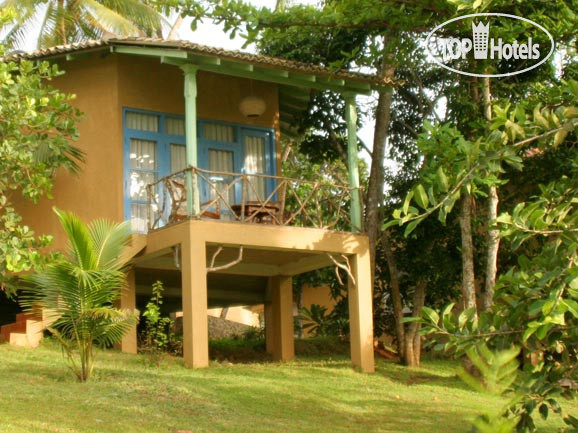 New photos from tourists Palace Mirissa
