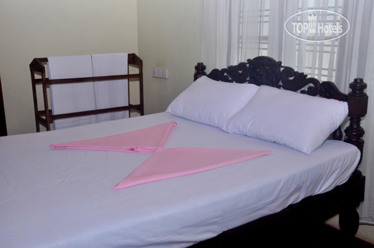 New photos from tourists Travel Easy Hostel