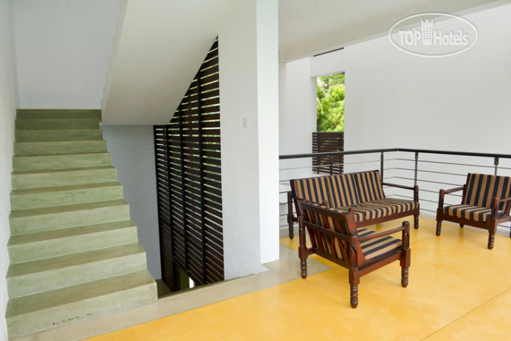 New photos from tourists Olanro Hotel 3*