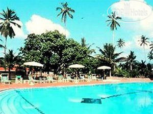 Photos Tamarind Tree