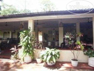New photos from tourists Sigiriya Rest House 2*
