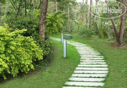 New photos from tourists Sigiri Lodge 4*