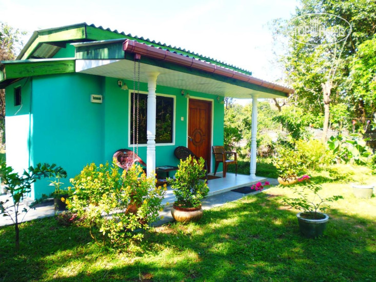 New photos from tourists The Nilmini Lodge 1*