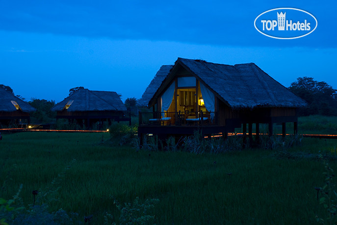 New photos from tourists Jetwing Vil Uyana 4*