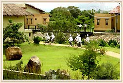 New photos from tourists Elephant Corridor 5*