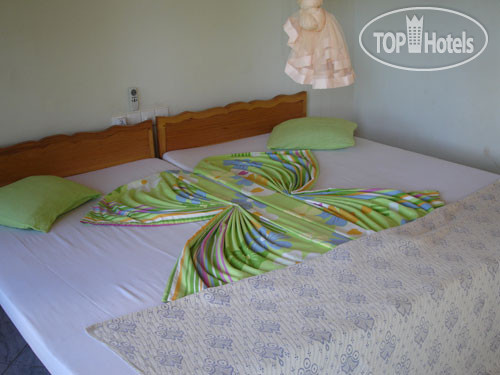 New photos from tourists The Lion Rock Hotel 3*