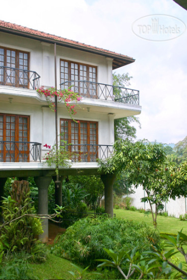 New photos from tourists Mahaveli Reach 5*