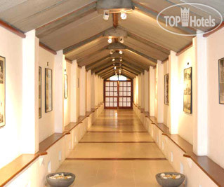 Фото The Tea Factory