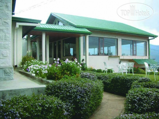 New photos from tourists Tea Bush
