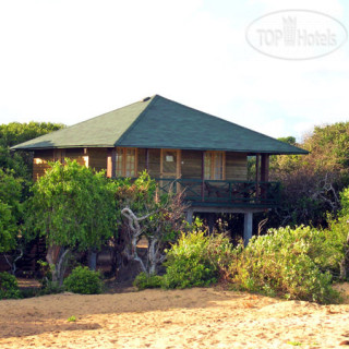 Photos Cinnamon Wild Yala