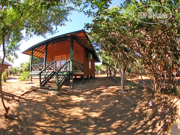 New photos from tourists Cinnamon Wild Yala