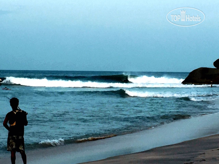 New photos from tourists Surf Paradise