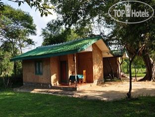 Фото Clay Hut Village