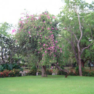 Фото Sudu Araliya Hotel