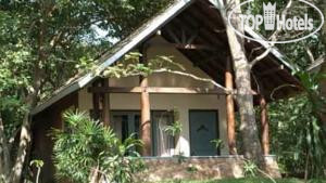 New photos from tourists Royal Lotus 3*