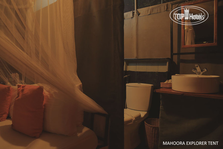 New photos from tourists Mahoora Tented Safari Camp - Bundala 5*