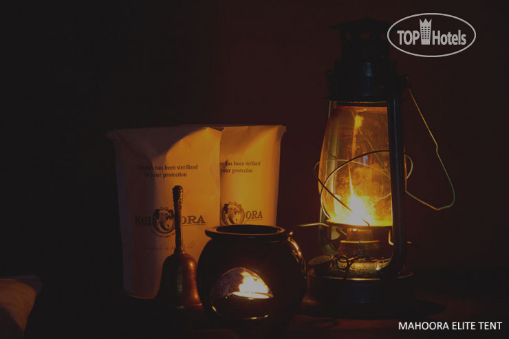 Hotel photo Mahoora Tented Safari Camp - Bundala 5*