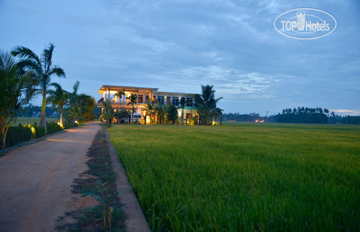 New photos from tourists Serene Park Hotel 3*