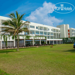 Фото Citrus Waskaduwa