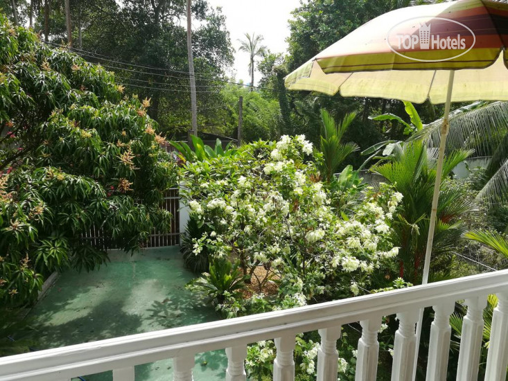 New photos from tourists White Villa 3*