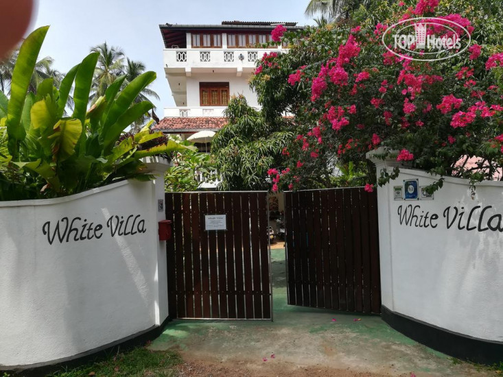 Photos White Villa