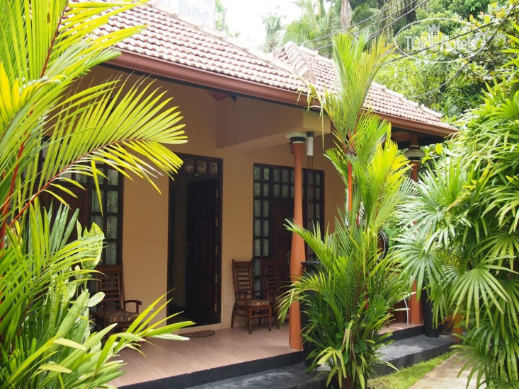 New photos from tourists Summer Garden Unawatuna 2*